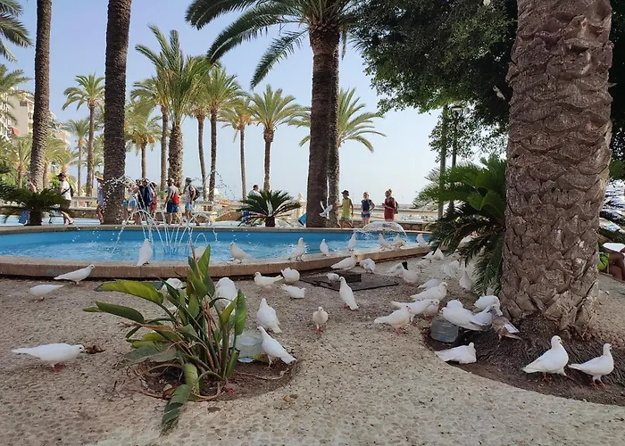 아파트 Agua Marina Levante
